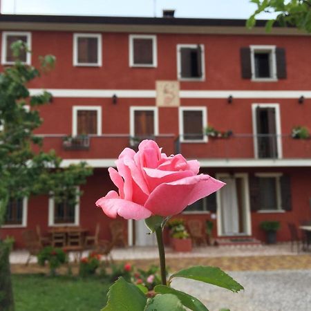 B&B Casa Del Conte 索利戈 外观 照片