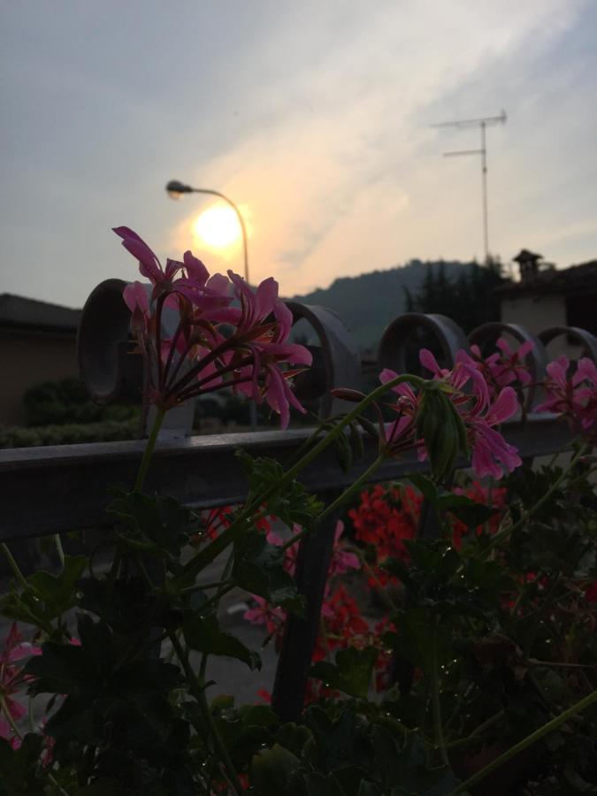 B&B Casa Del Conte 索利戈 外观 照片