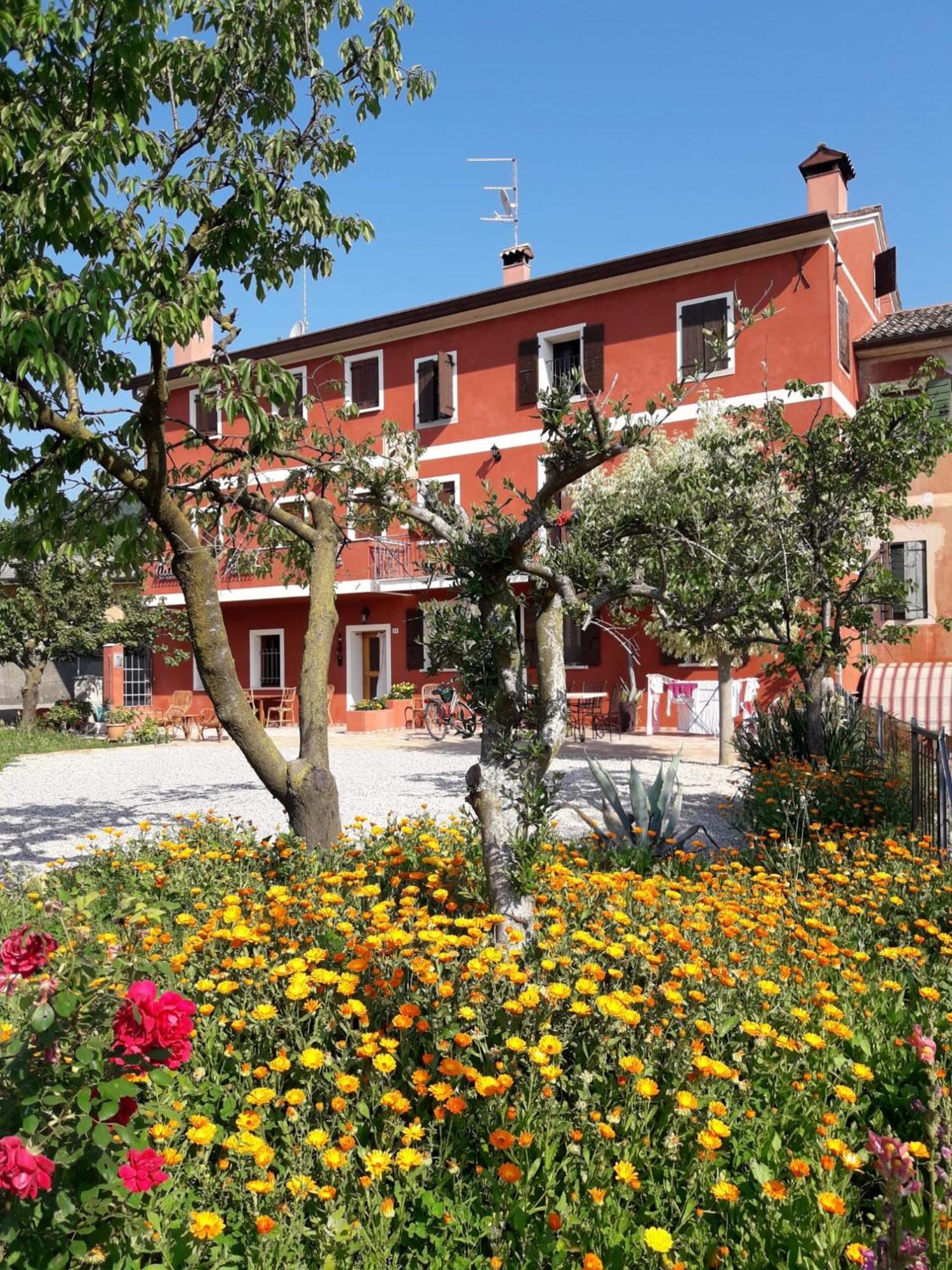 B&B Casa Del Conte 索利戈 外观 照片